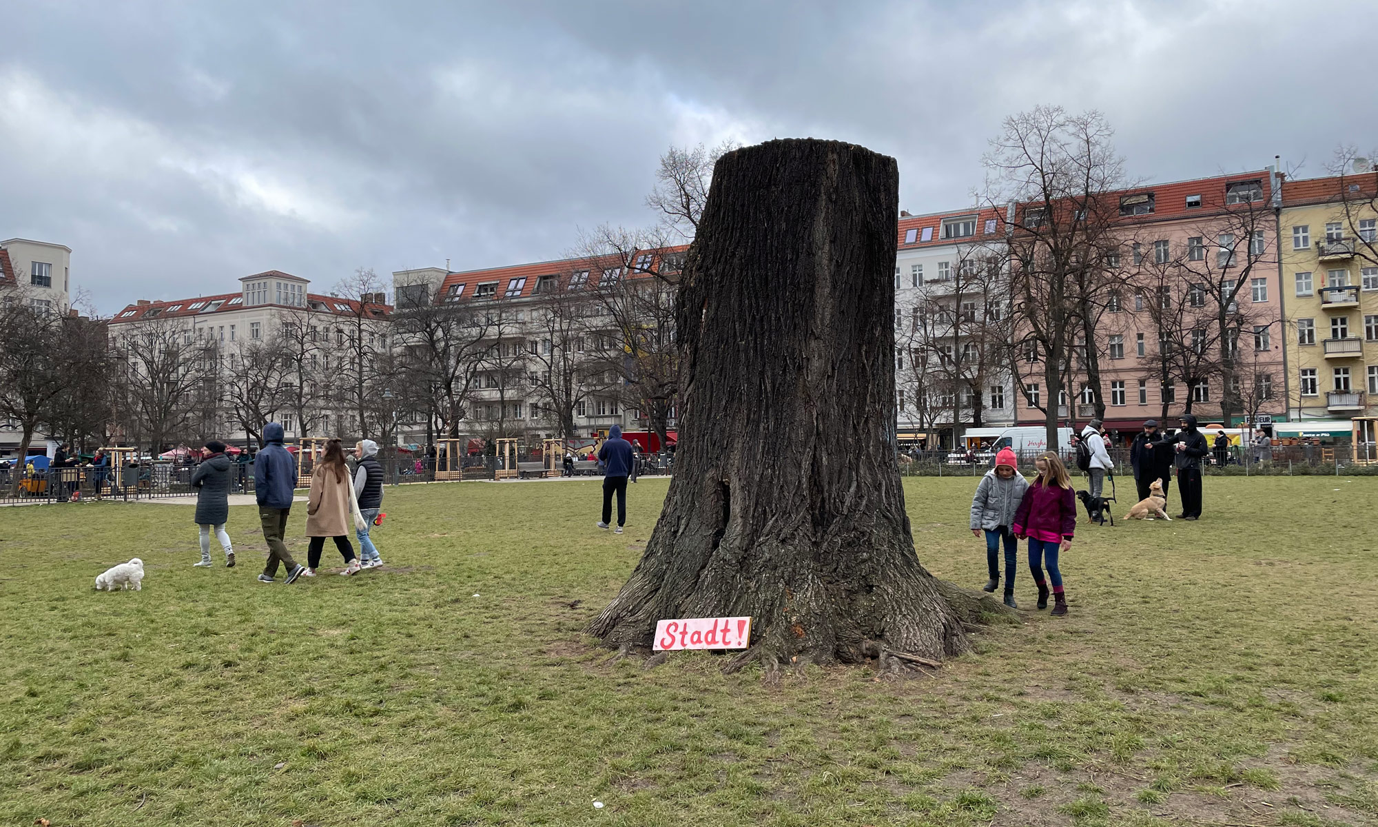 Baumstumpf der Linde auf dem Boxhagener Platz